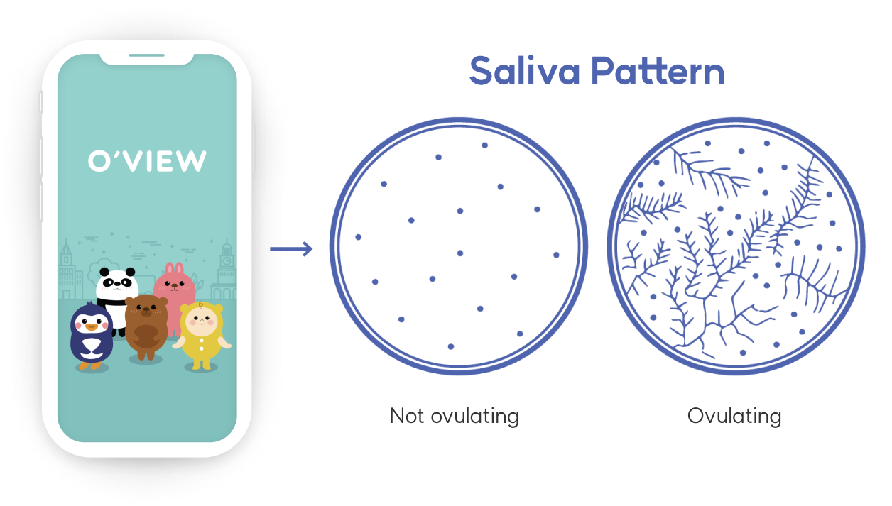 오뷰앱 사용 후 타액 패턴 추출 이미지