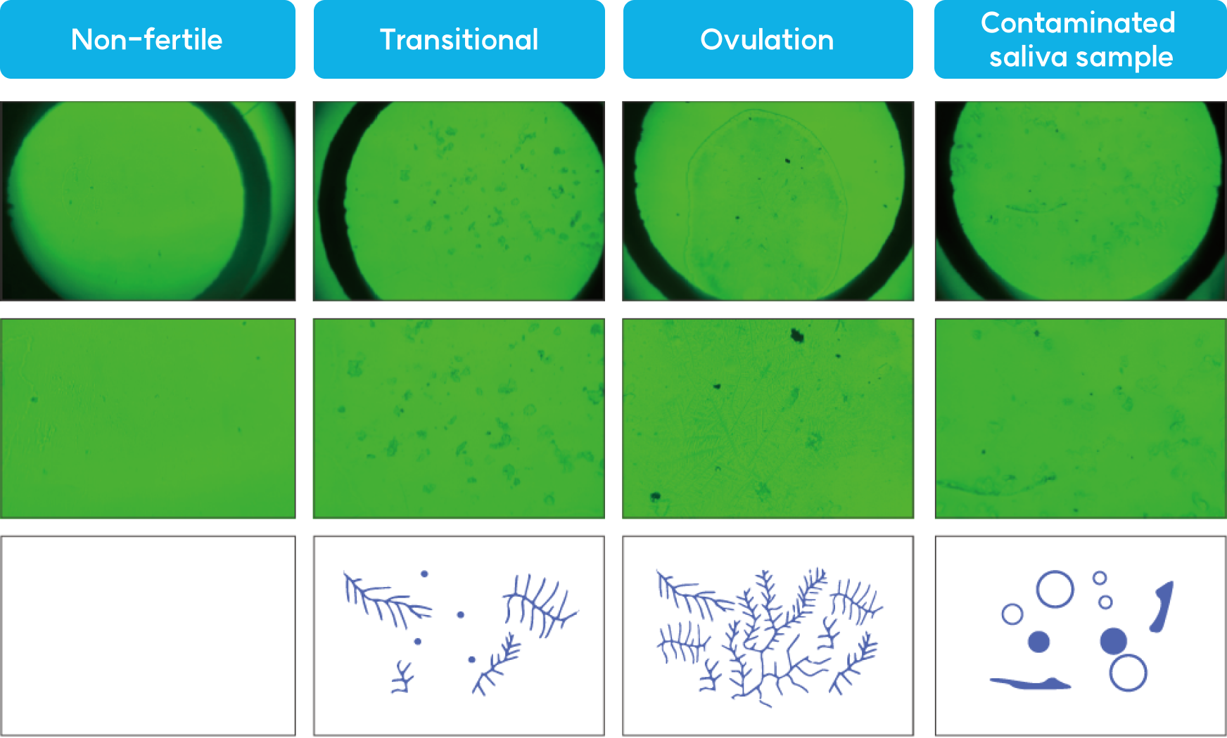 Vision Technology Image